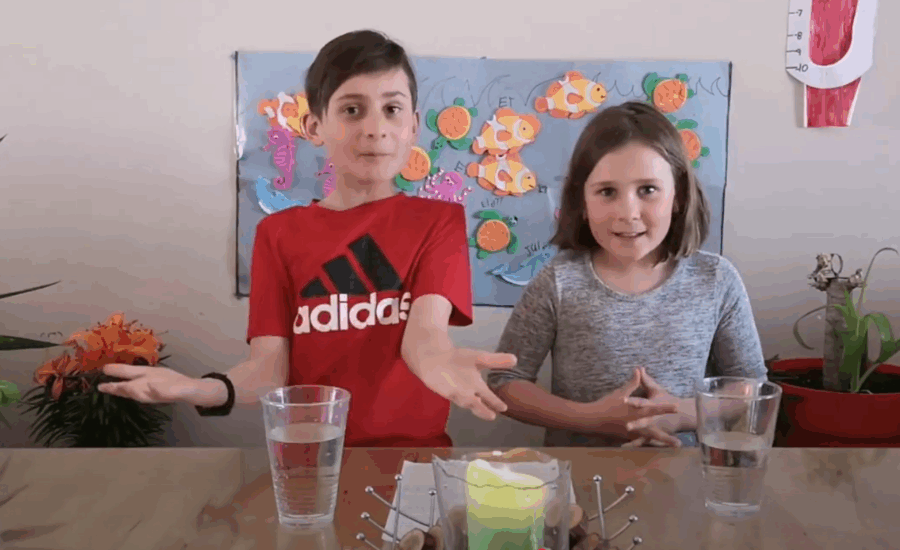 Vignette Capsule de la famille Devost