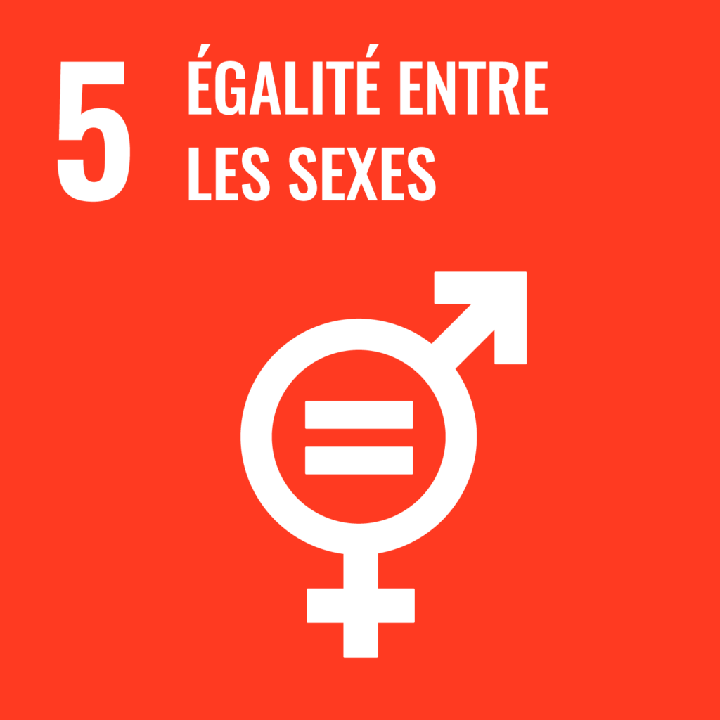 Objectif 5 Égalité entre les sexes