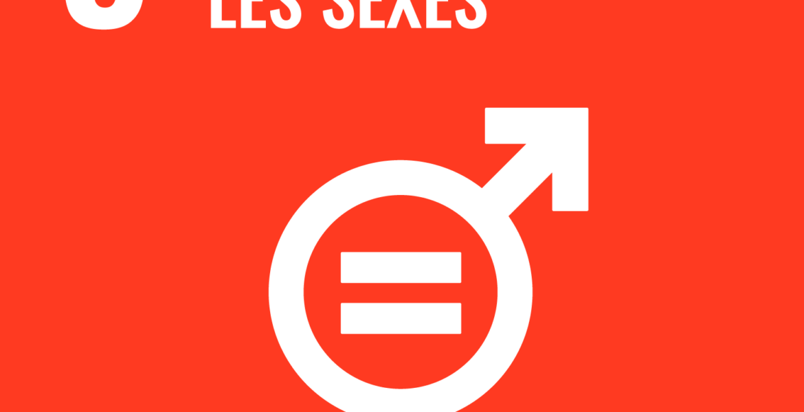 Objectif 5 Égalité entre les sexes