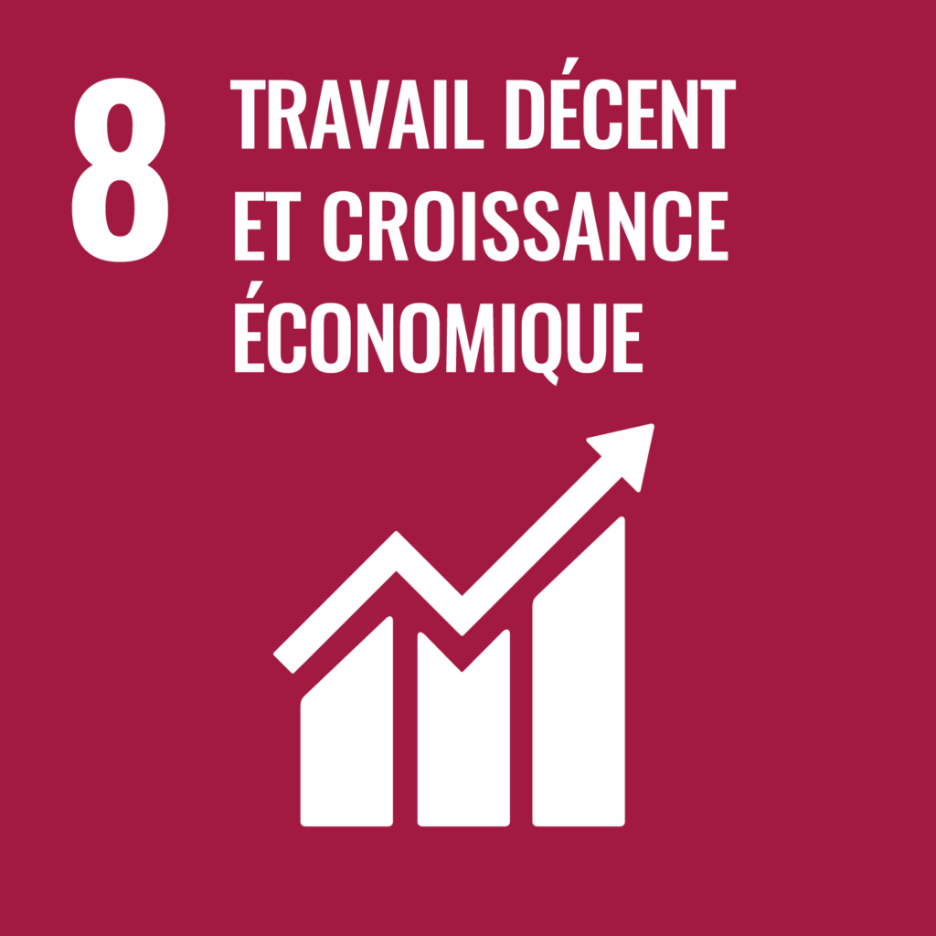 Objectif 8 travail décent et croissance économique