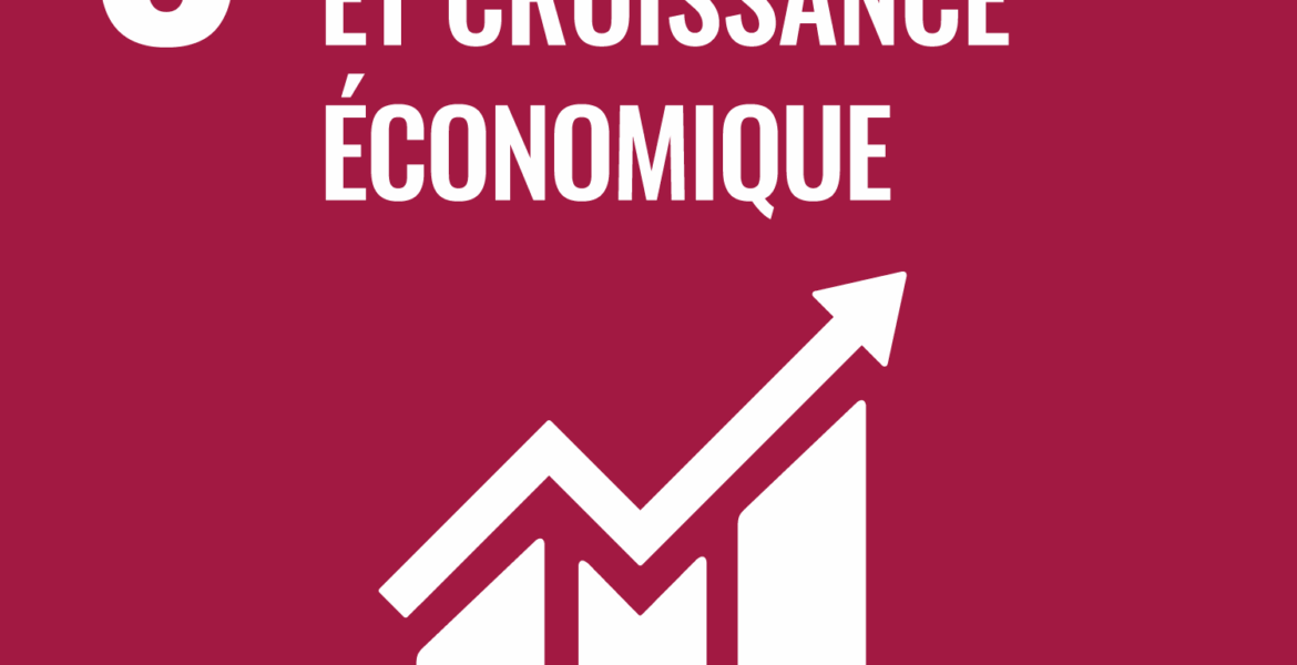 Objectif 8 travail décent et croissance économique