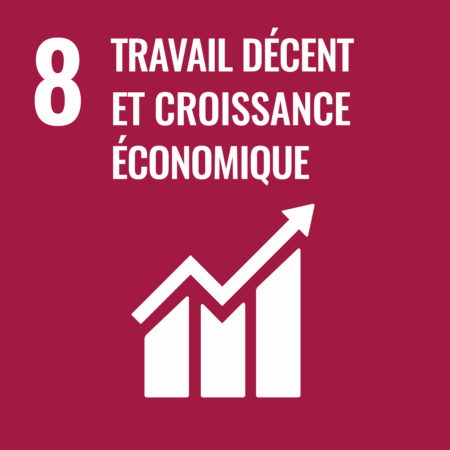 Objectif 8 travail décent et croissance économique