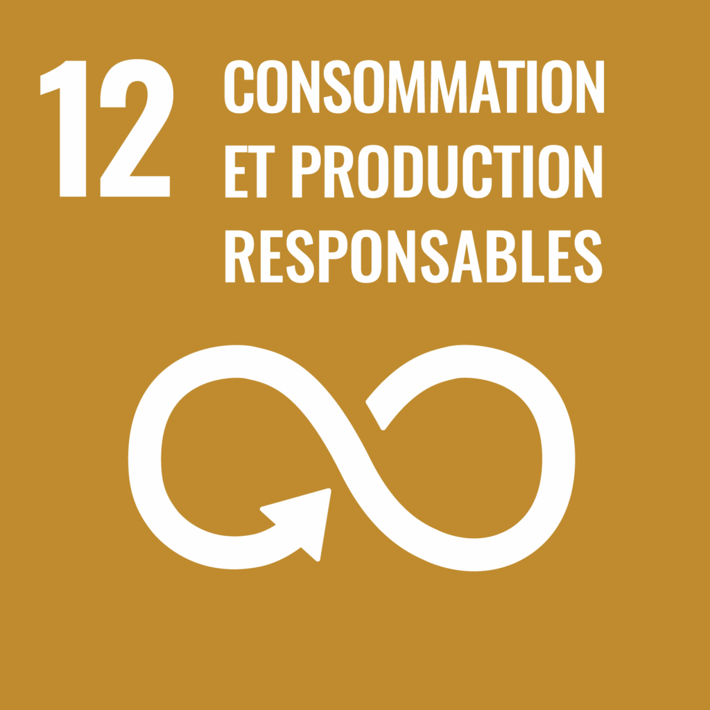 Objectif 12 Consommation et production responsables