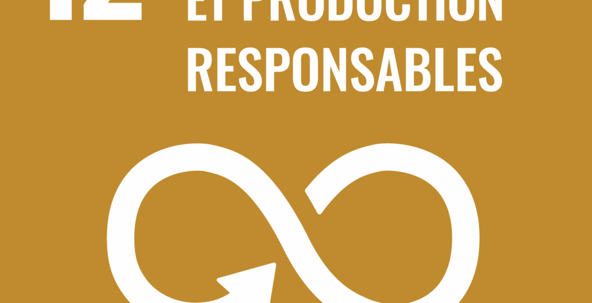 Objectif 12 Consommation et production responsables