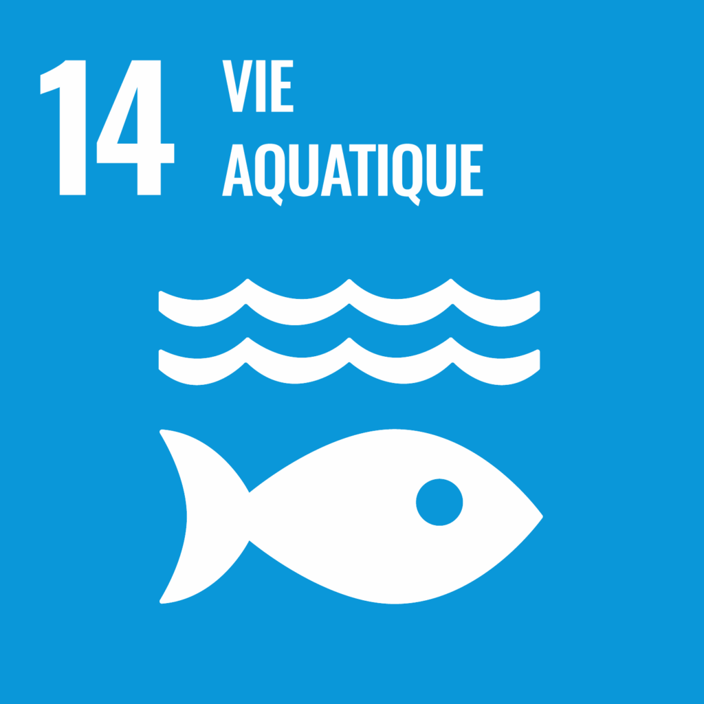 Objectif 14 Vie Aquatique