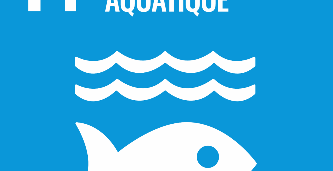 Objectif 14 Vie Aquatique