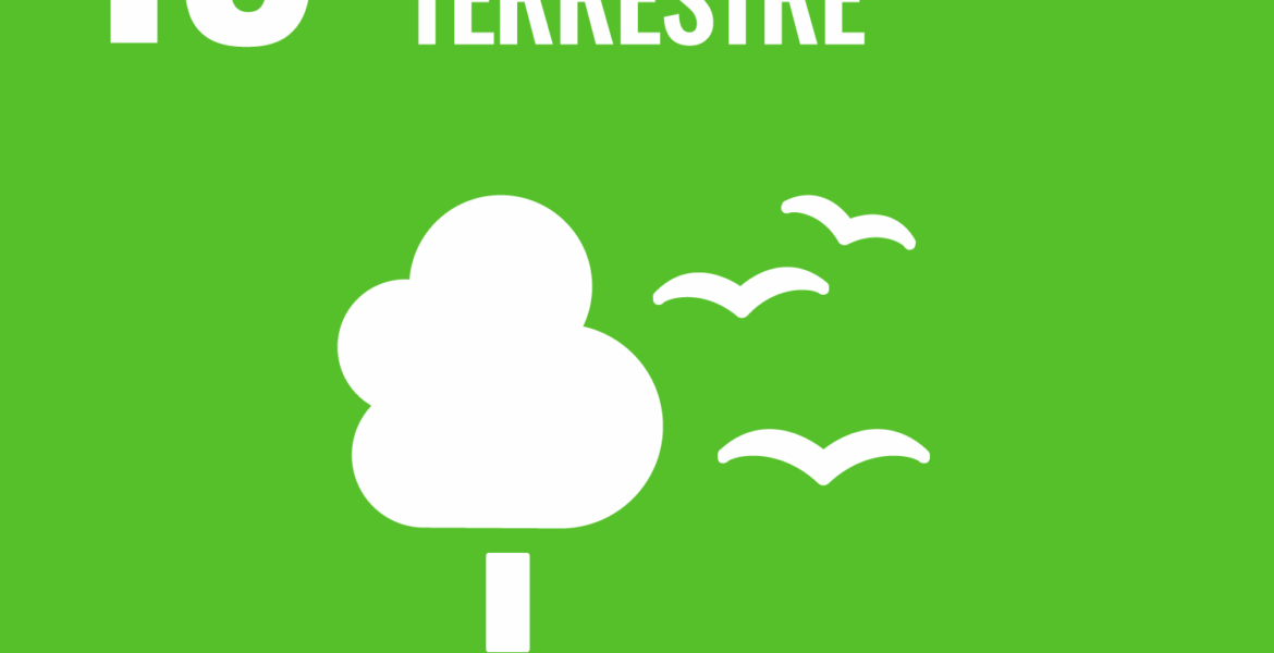 Objectif 15 Vie terrestre