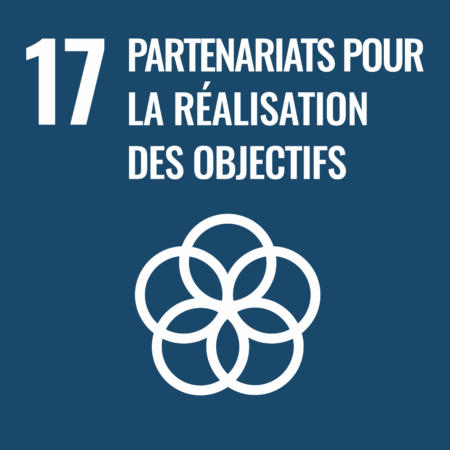 Objectif 17 Partenariats pour la réalisation des objectifs