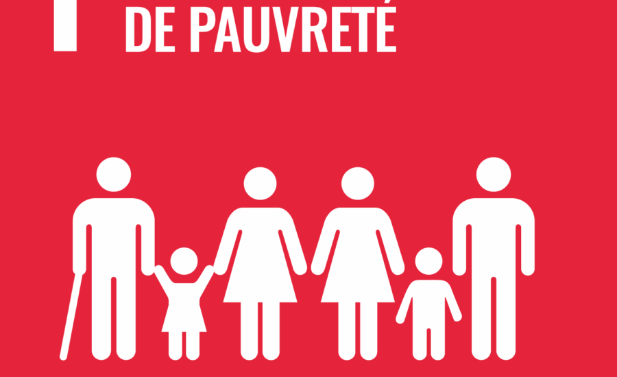 Objectif 1 : Pas de pauvreté